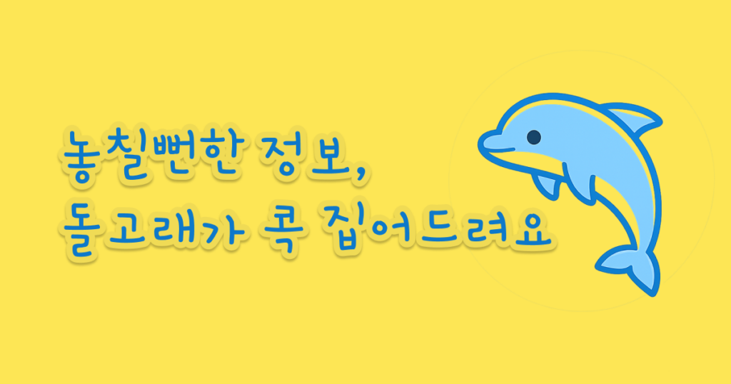 기록하는 돌고래